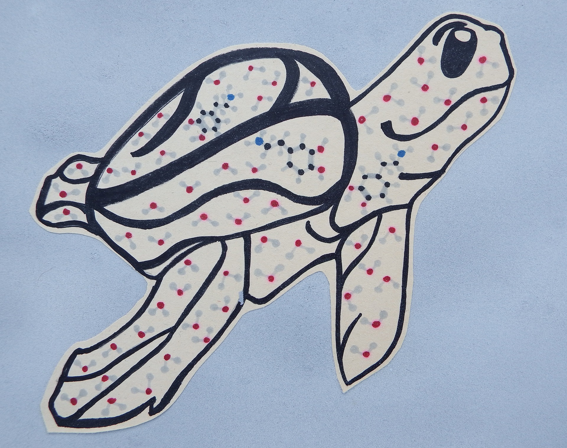 "Dermochelys dopaminicus", eine Zeichnung von einer lieben Kollegin als Geburtstagsgeschenk, mit der Belohnungsdroge Dopamin auf dem Carapax. – © Christina Herold