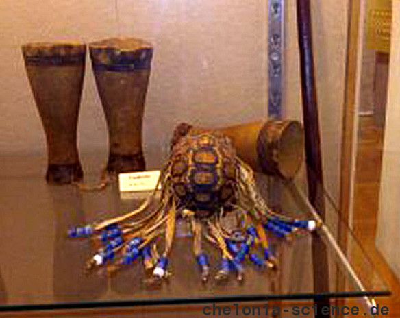 Schmuck und Kulturgegenstände aus Schildkröten – © Hans-Jürgen Bidmon Schmuck und Kulturgegenstände aus Schildkröten – © Hans-Jürgen Bidmon