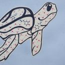 Dermochelys dopaminicus, eine Zeichnung von einer lieben Kollegin als Geburtstagsgeschenk, mit der Belohnungsdroge Dopamin auf dem Carapax. &ndash; &copy;&nbsp;Christina Herold